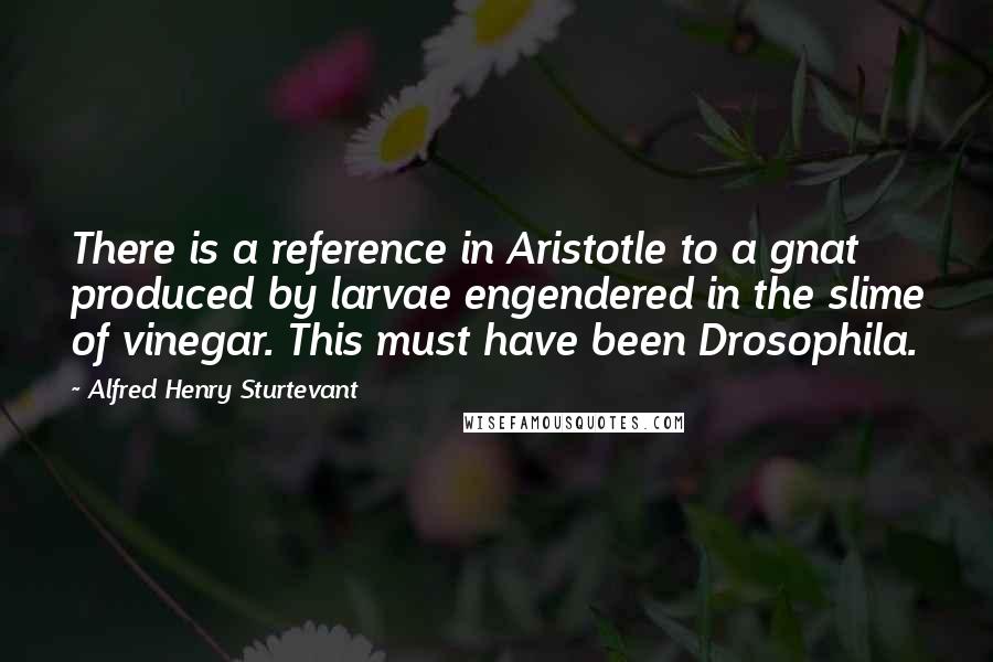 Alfred Henry Sturtevant Quotes: There is a reference in Aristotle to a gnat produced by larvae engendered in the slime of vinegar. This must have been Drosophila.