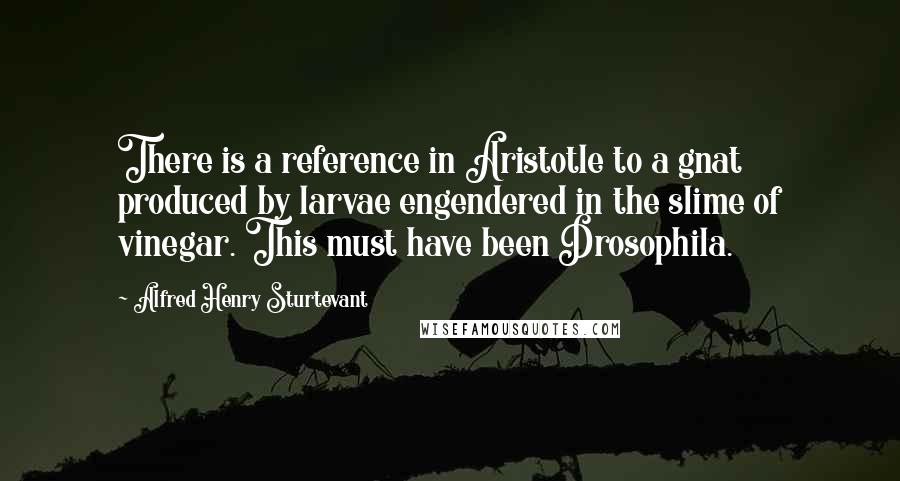 Alfred Henry Sturtevant Quotes: There is a reference in Aristotle to a gnat produced by larvae engendered in the slime of vinegar. This must have been Drosophila.