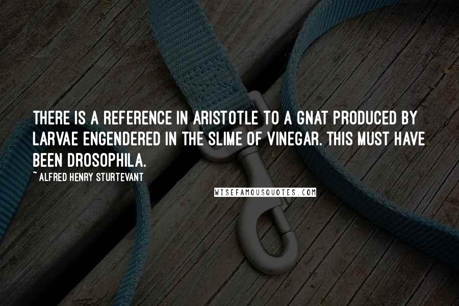 Alfred Henry Sturtevant Quotes: There is a reference in Aristotle to a gnat produced by larvae engendered in the slime of vinegar. This must have been Drosophila.