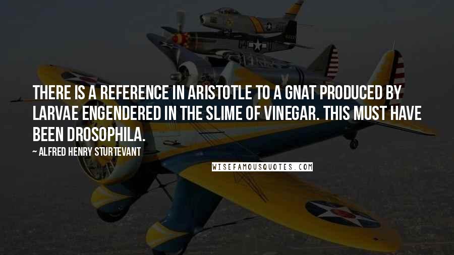 Alfred Henry Sturtevant Quotes: There is a reference in Aristotle to a gnat produced by larvae engendered in the slime of vinegar. This must have been Drosophila.