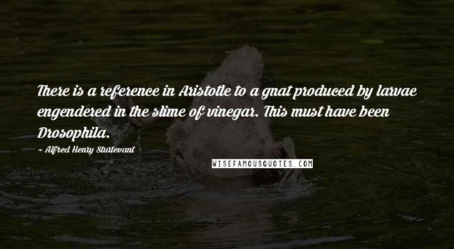 Alfred Henry Sturtevant Quotes: There is a reference in Aristotle to a gnat produced by larvae engendered in the slime of vinegar. This must have been Drosophila.