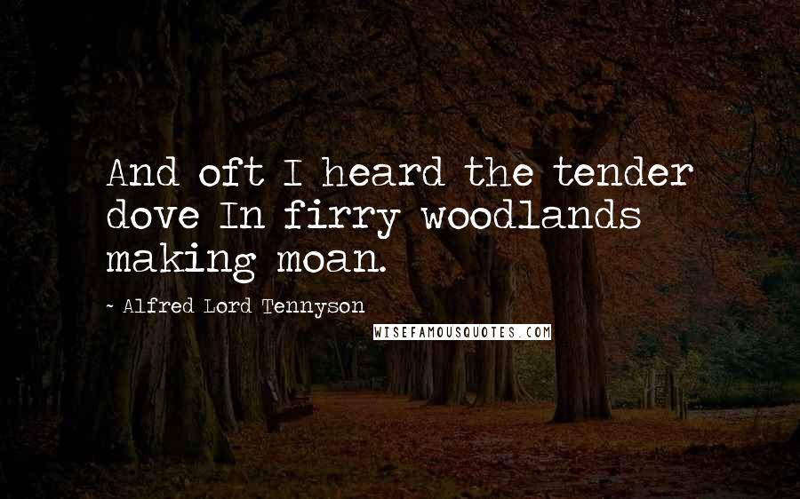 Alfred Lord Tennyson Quotes: And oft I heard the tender dove In firry woodlands making moan.