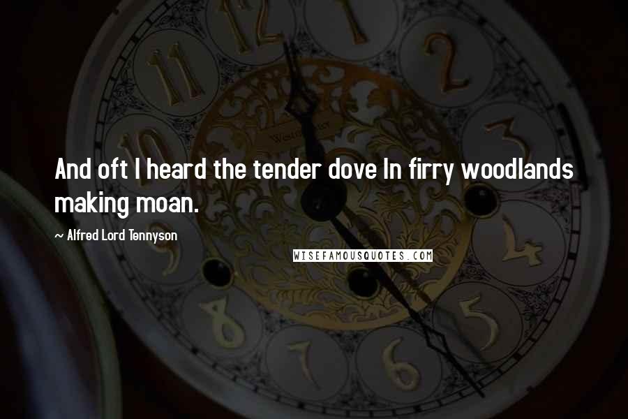 Alfred Lord Tennyson Quotes: And oft I heard the tender dove In firry woodlands making moan.