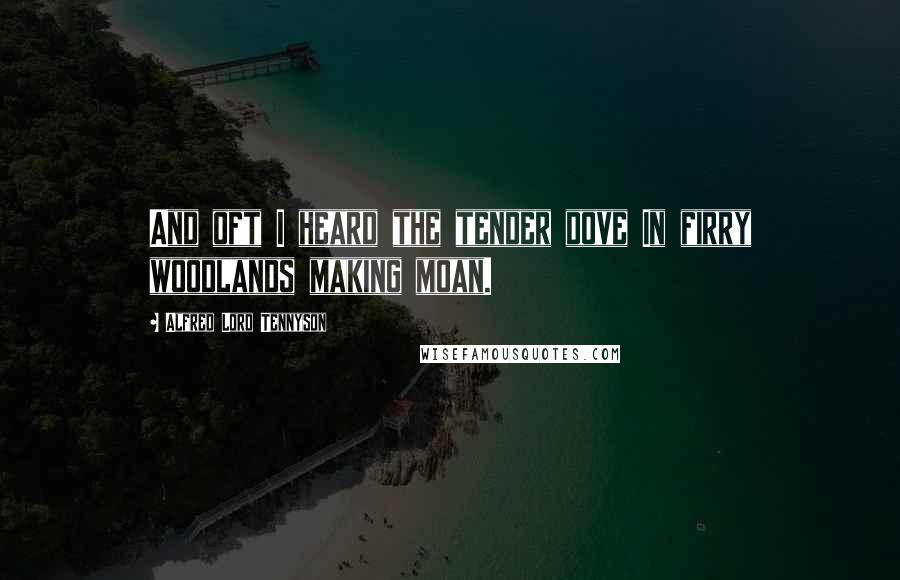 Alfred Lord Tennyson Quotes: And oft I heard the tender dove In firry woodlands making moan.