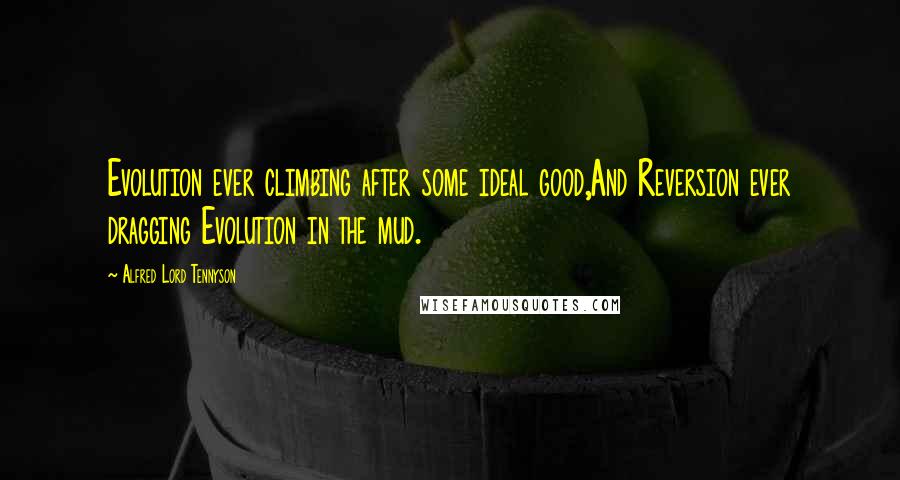 Alfred Lord Tennyson Quotes: Evolution ever climbing after some ideal good,And Reversion ever dragging Evolution in the mud.