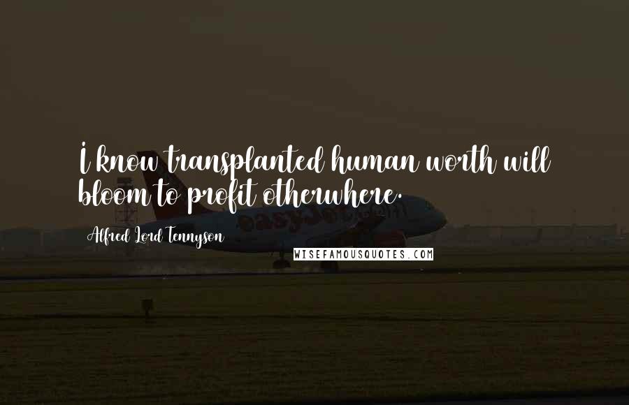 Alfred Lord Tennyson Quotes: I know transplanted human worth will bloom to profit otherwhere.