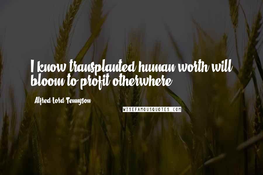 Alfred Lord Tennyson Quotes: I know transplanted human worth will bloom to profit otherwhere.