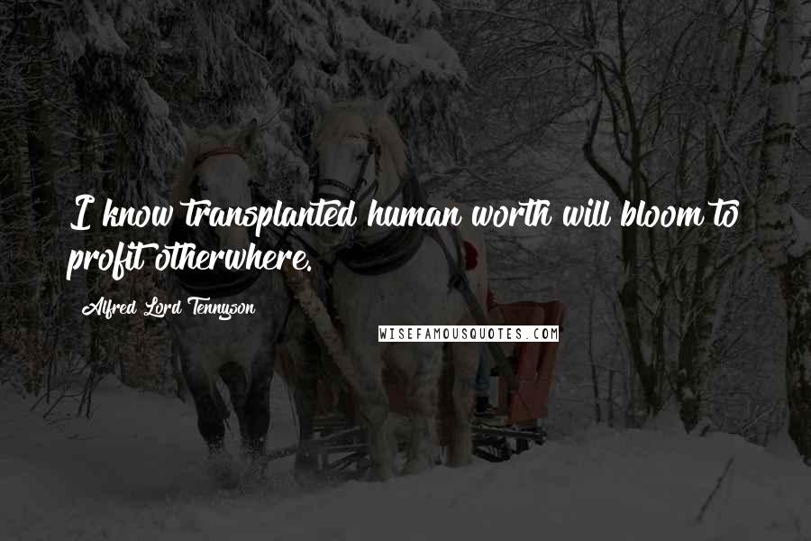 Alfred Lord Tennyson Quotes: I know transplanted human worth will bloom to profit otherwhere.