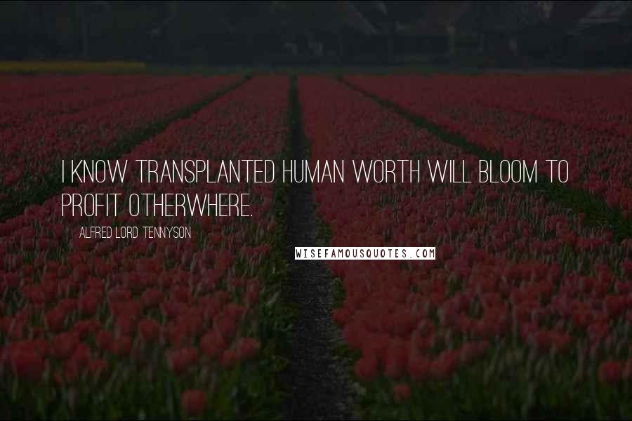 Alfred Lord Tennyson Quotes: I know transplanted human worth will bloom to profit otherwhere.