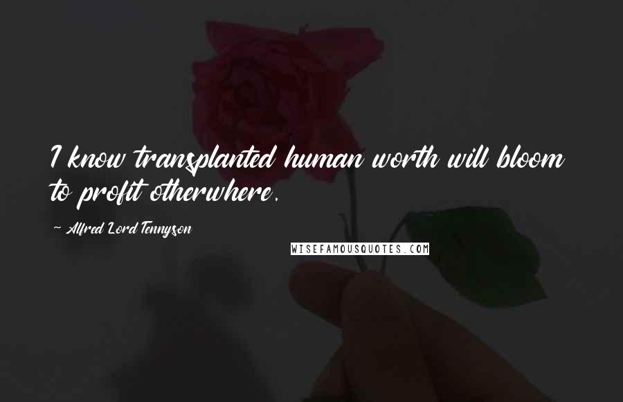 Alfred Lord Tennyson Quotes: I know transplanted human worth will bloom to profit otherwhere.