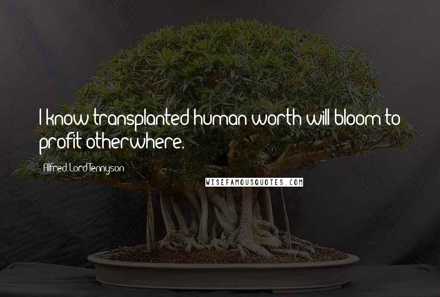Alfred Lord Tennyson Quotes: I know transplanted human worth will bloom to profit otherwhere.