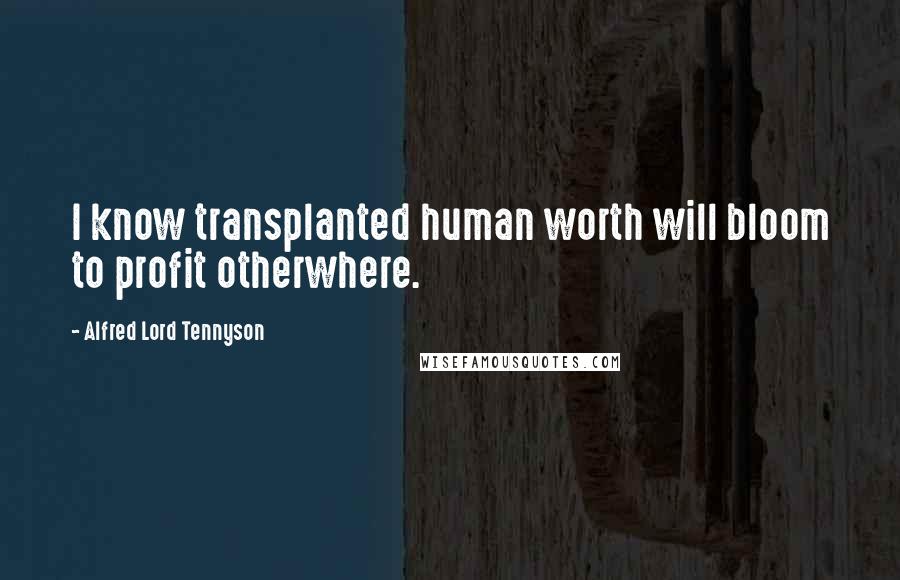 Alfred Lord Tennyson Quotes: I know transplanted human worth will bloom to profit otherwhere.