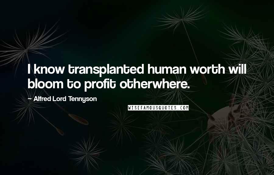 Alfred Lord Tennyson Quotes: I know transplanted human worth will bloom to profit otherwhere.