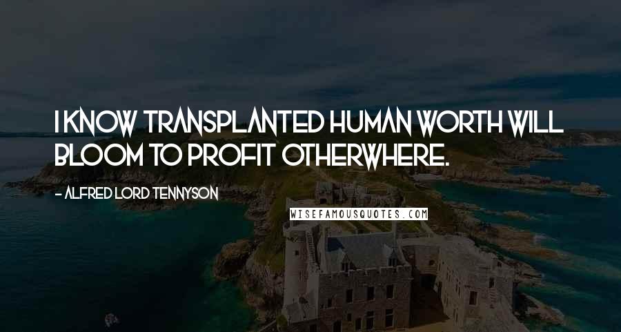Alfred Lord Tennyson Quotes: I know transplanted human worth will bloom to profit otherwhere.