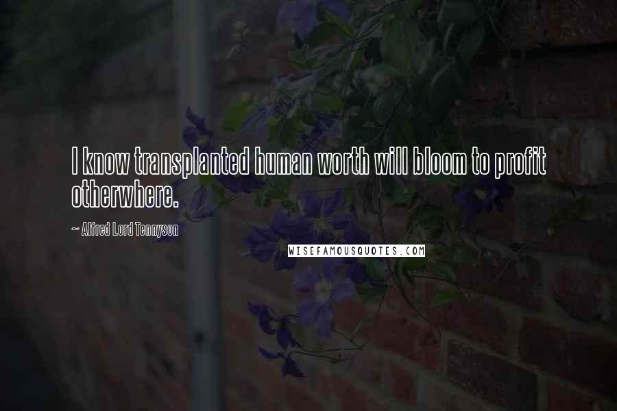 Alfred Lord Tennyson Quotes: I know transplanted human worth will bloom to profit otherwhere.