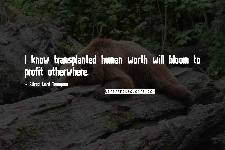Alfred Lord Tennyson Quotes: I know transplanted human worth will bloom to profit otherwhere.