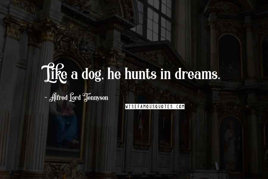 Alfred Lord Tennyson Quotes: Like a dog, he hunts in dreams.