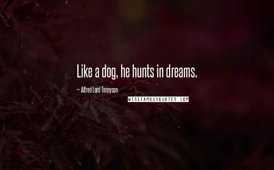 Alfred Lord Tennyson Quotes: Like a dog, he hunts in dreams.