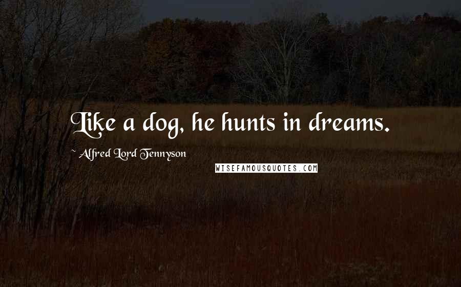 Alfred Lord Tennyson Quotes: Like a dog, he hunts in dreams.