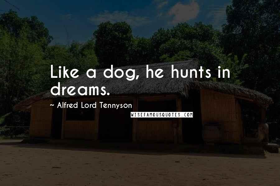 Alfred Lord Tennyson Quotes: Like a dog, he hunts in dreams.