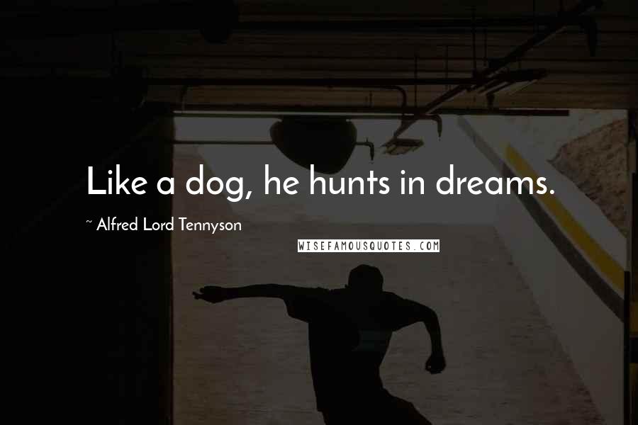 Alfred Lord Tennyson Quotes: Like a dog, he hunts in dreams.