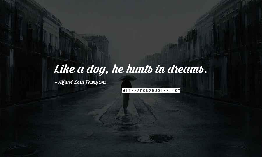 Alfred Lord Tennyson Quotes: Like a dog, he hunts in dreams.