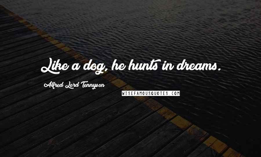 Alfred Lord Tennyson Quotes: Like a dog, he hunts in dreams.