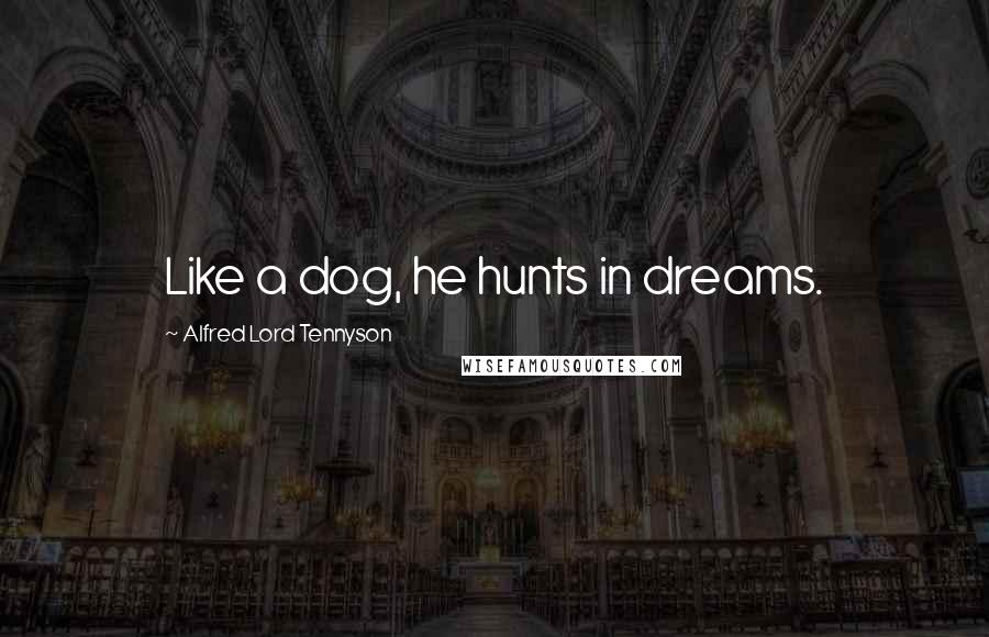 Alfred Lord Tennyson Quotes: Like a dog, he hunts in dreams.