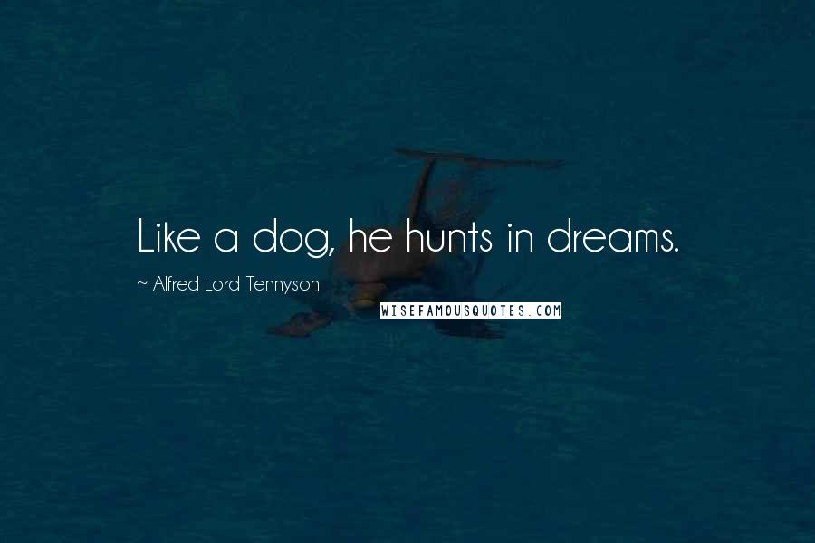 Alfred Lord Tennyson Quotes: Like a dog, he hunts in dreams.