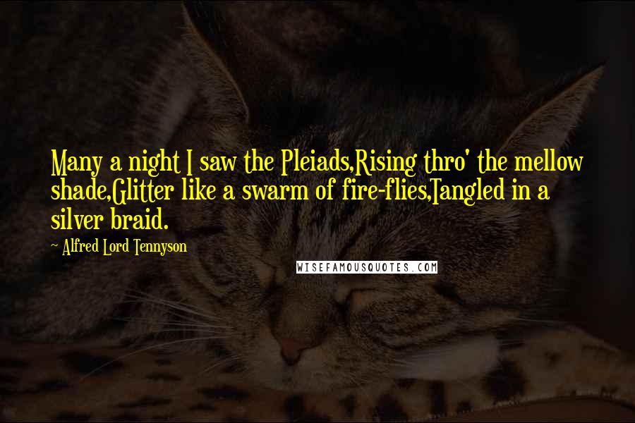 Alfred Lord Tennyson Quotes: Many a night I saw the Pleiads,Rising thro' the mellow shade,Glitter like a swarm of fire-flies,Tangled in a silver braid.