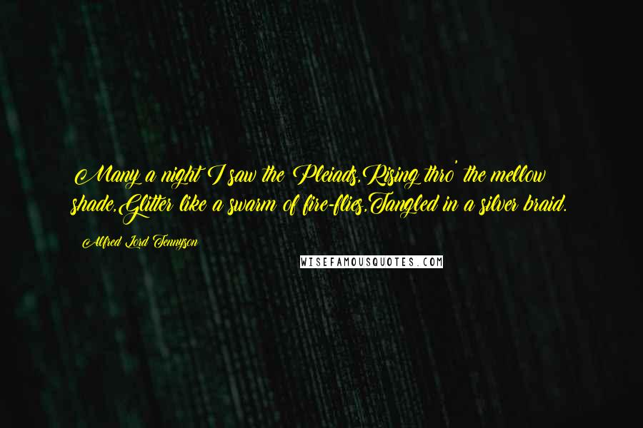 Alfred Lord Tennyson Quotes: Many a night I saw the Pleiads,Rising thro' the mellow shade,Glitter like a swarm of fire-flies,Tangled in a silver braid.