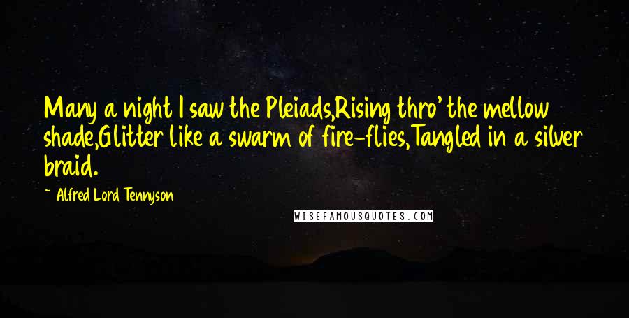 Alfred Lord Tennyson Quotes: Many a night I saw the Pleiads,Rising thro' the mellow shade,Glitter like a swarm of fire-flies,Tangled in a silver braid.