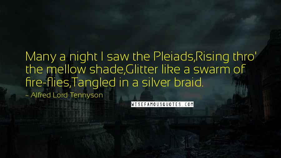 Alfred Lord Tennyson Quotes: Many a night I saw the Pleiads,Rising thro' the mellow shade,Glitter like a swarm of fire-flies,Tangled in a silver braid.