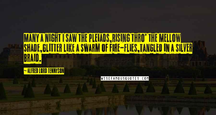 Alfred Lord Tennyson Quotes: Many a night I saw the Pleiads,Rising thro' the mellow shade,Glitter like a swarm of fire-flies,Tangled in a silver braid.