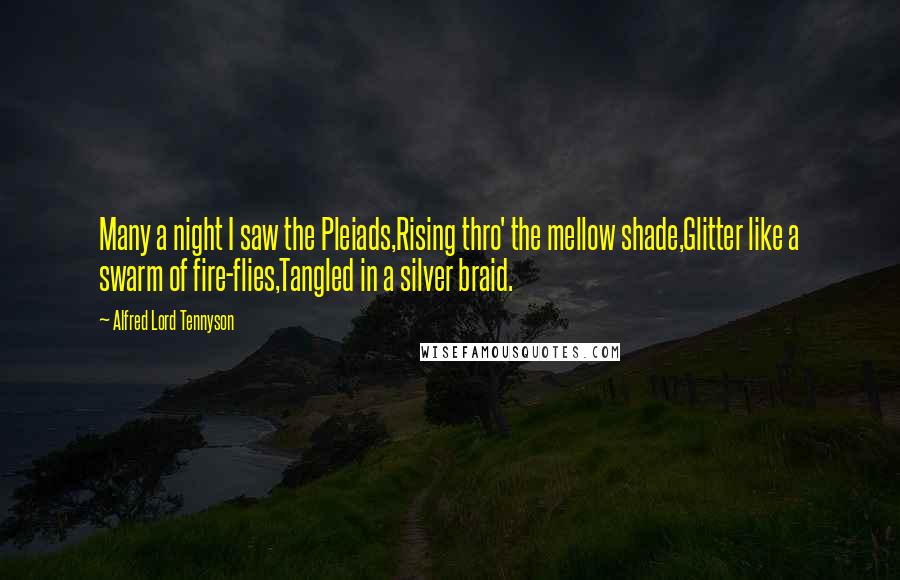 Alfred Lord Tennyson Quotes: Many a night I saw the Pleiads,Rising thro' the mellow shade,Glitter like a swarm of fire-flies,Tangled in a silver braid.