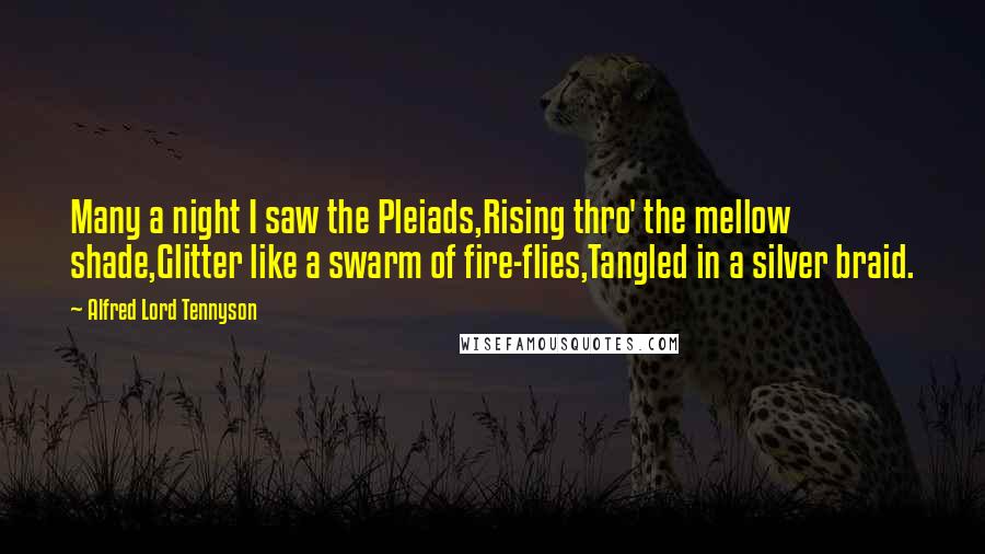 Alfred Lord Tennyson Quotes: Many a night I saw the Pleiads,Rising thro' the mellow shade,Glitter like a swarm of fire-flies,Tangled in a silver braid.