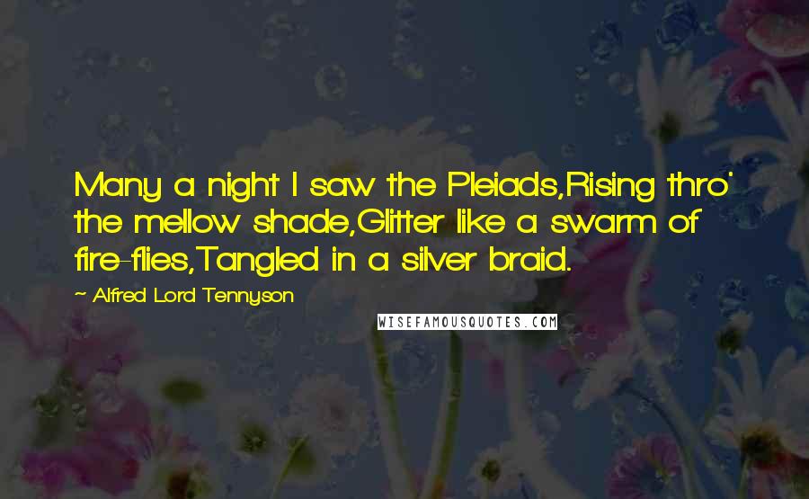 Alfred Lord Tennyson Quotes: Many a night I saw the Pleiads,Rising thro' the mellow shade,Glitter like a swarm of fire-flies,Tangled in a silver braid.