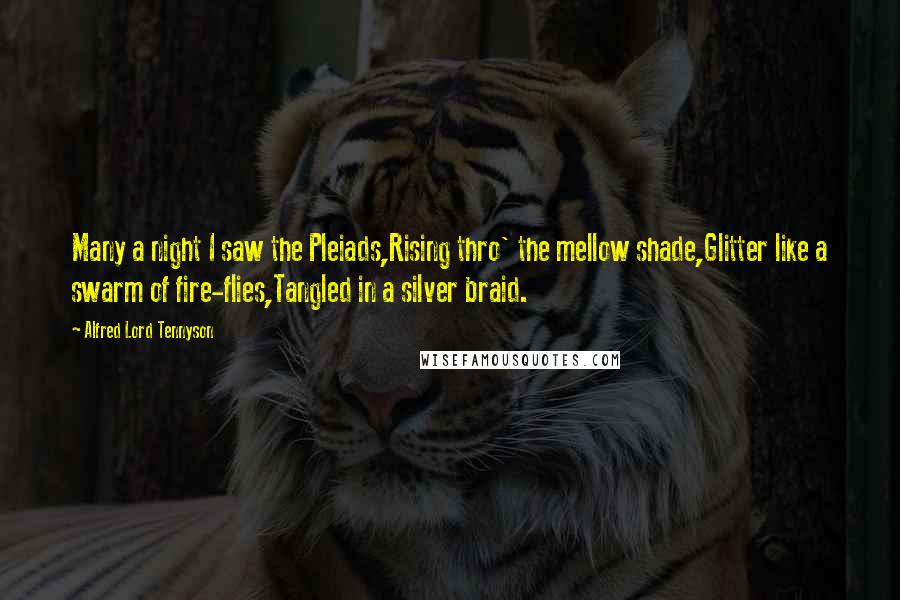 Alfred Lord Tennyson Quotes: Many a night I saw the Pleiads,Rising thro' the mellow shade,Glitter like a swarm of fire-flies,Tangled in a silver braid.