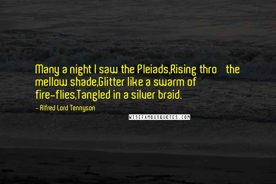 Alfred Lord Tennyson Quotes: Many a night I saw the Pleiads,Rising thro' the mellow shade,Glitter like a swarm of fire-flies,Tangled in a silver braid.