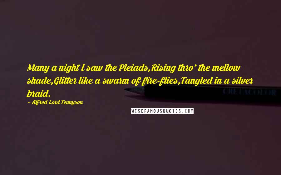 Alfred Lord Tennyson Quotes: Many a night I saw the Pleiads,Rising thro' the mellow shade,Glitter like a swarm of fire-flies,Tangled in a silver braid.