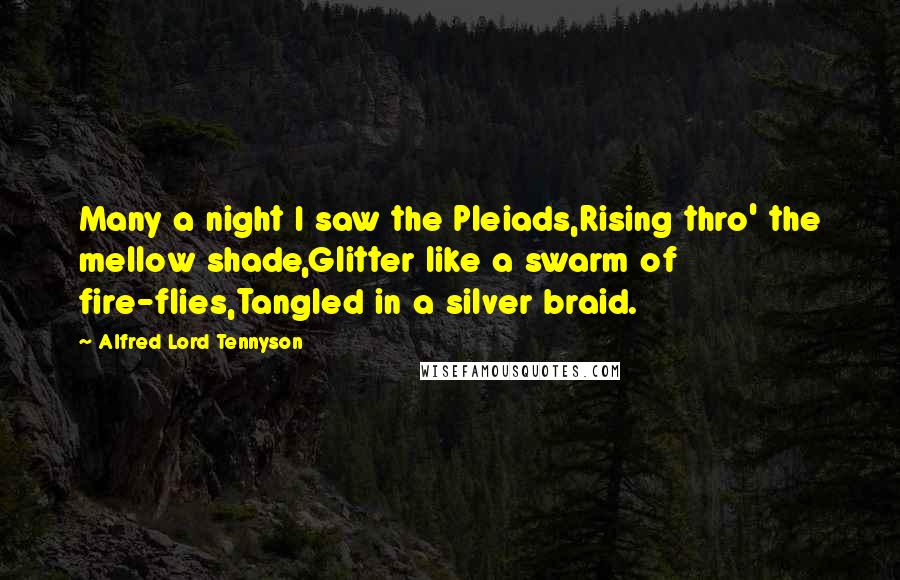 Alfred Lord Tennyson Quotes: Many a night I saw the Pleiads,Rising thro' the mellow shade,Glitter like a swarm of fire-flies,Tangled in a silver braid.