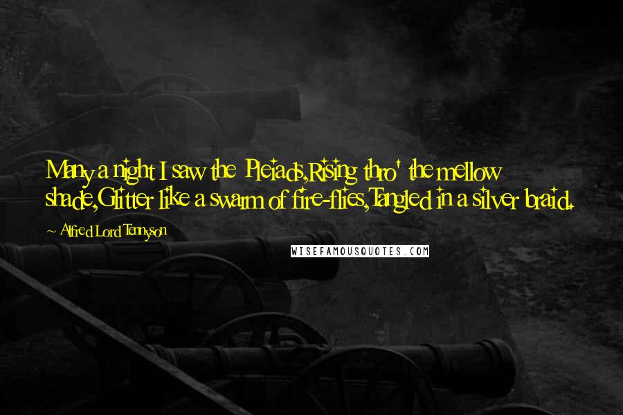 Alfred Lord Tennyson Quotes: Many a night I saw the Pleiads,Rising thro' the mellow shade,Glitter like a swarm of fire-flies,Tangled in a silver braid.