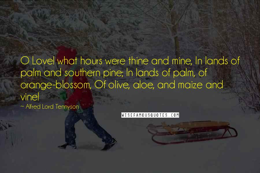 Alfred Lord Tennyson Quotes: O Love! what hours were thine and mine, In lands of palm and southern pine; In lands of palm, of orange-blossom, Of olive, aloe, and maize and vine!