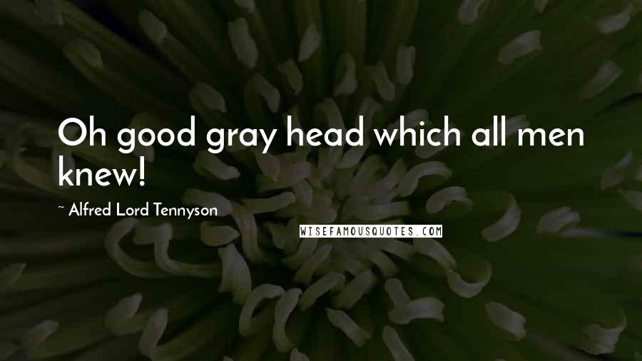 Alfred Lord Tennyson Quotes: Oh good gray head which all men knew!