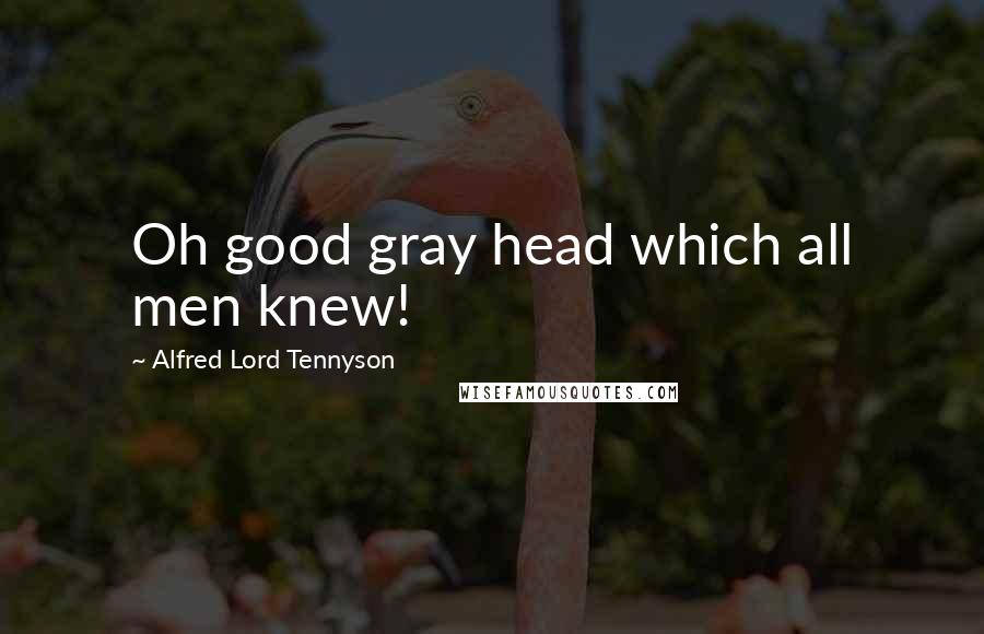 Alfred Lord Tennyson Quotes: Oh good gray head which all men knew!