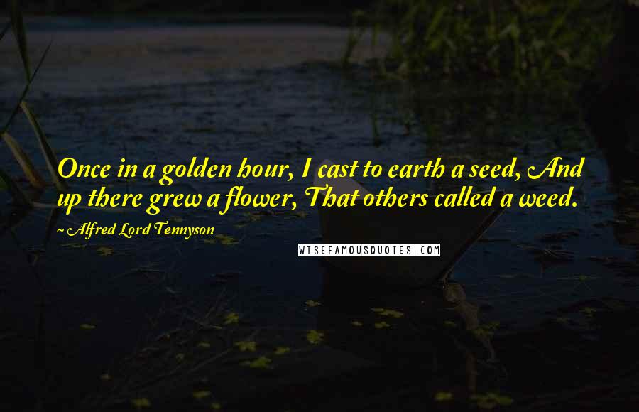 Alfred Lord Tennyson Quotes: Once in a golden hour, I cast to earth a seed, And up there grew a flower, That others called a weed.