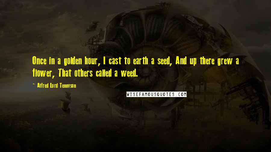 Alfred Lord Tennyson Quotes: Once in a golden hour, I cast to earth a seed, And up there grew a flower, That others called a weed.