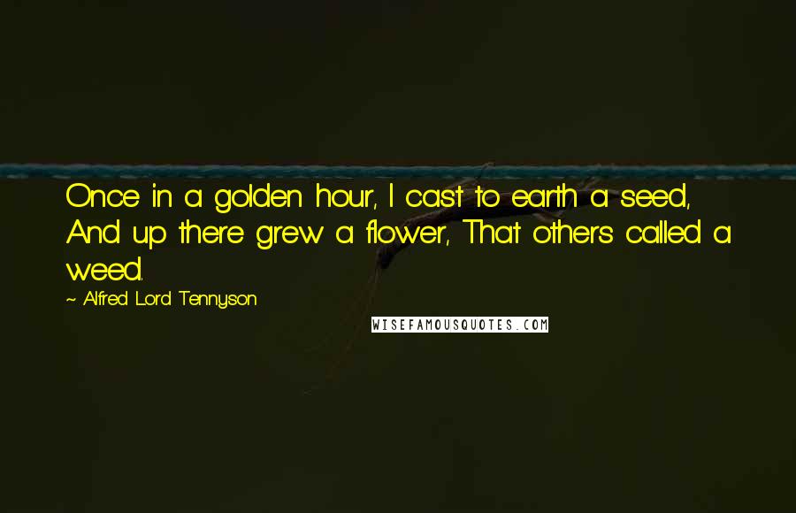Alfred Lord Tennyson Quotes: Once in a golden hour, I cast to earth a seed, And up there grew a flower, That others called a weed.