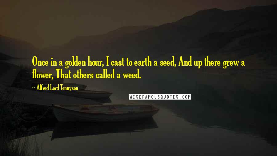 Alfred Lord Tennyson Quotes: Once in a golden hour, I cast to earth a seed, And up there grew a flower, That others called a weed.