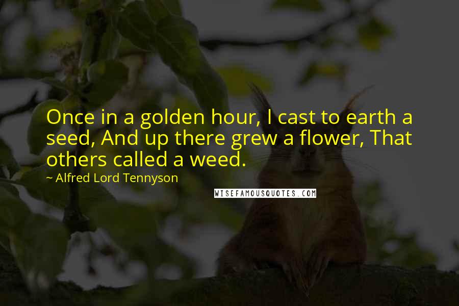 Alfred Lord Tennyson Quotes: Once in a golden hour, I cast to earth a seed, And up there grew a flower, That others called a weed.